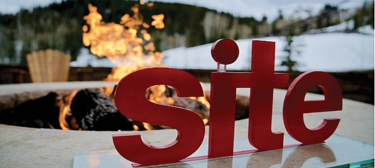 SITE Announces New Professional Certification