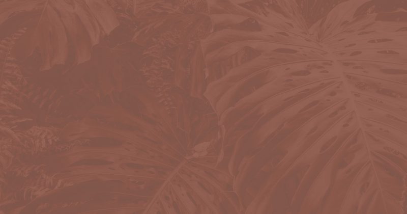 Decorative brown background with tropical leaves