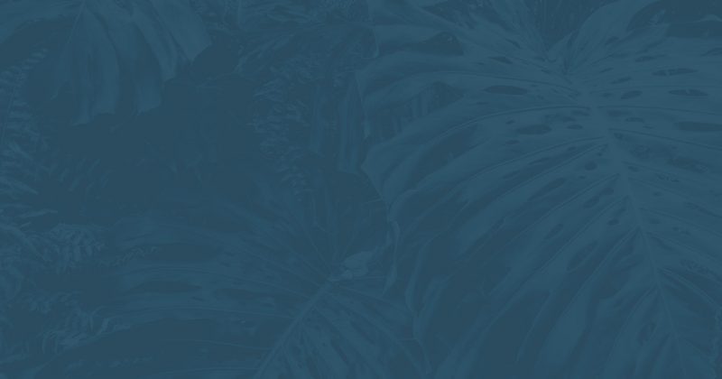 Decorative blue background with tropical leaves