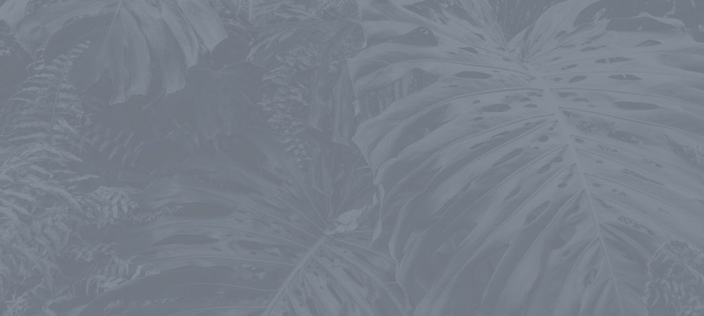 Decorative grey background with tropical leaves