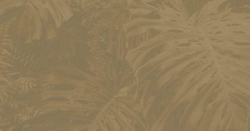 Decorative tan background with tropical leaves